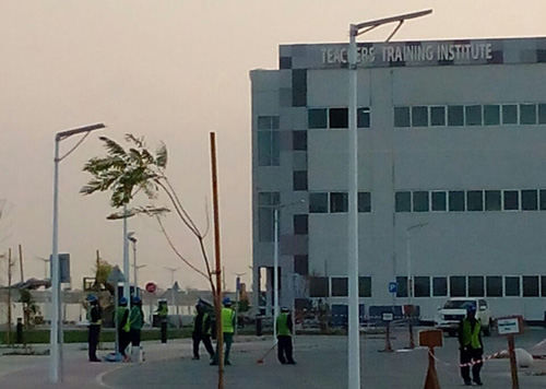 UAE 30W all in one solar street light