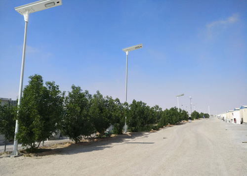 D3 80w solar stret light